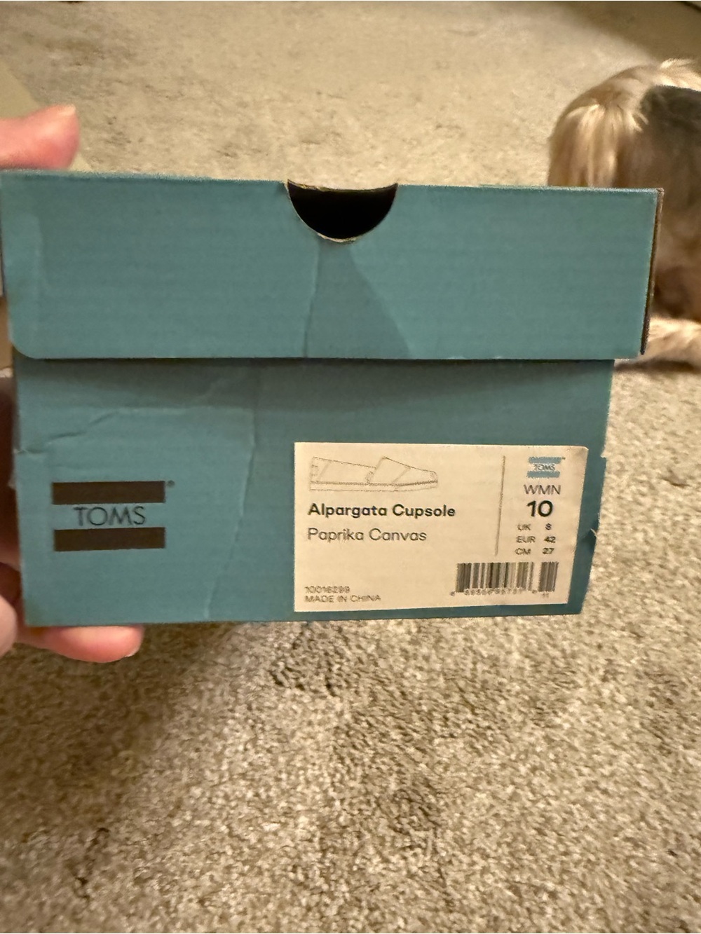 Toms Teal Shoe Box with Black Logo